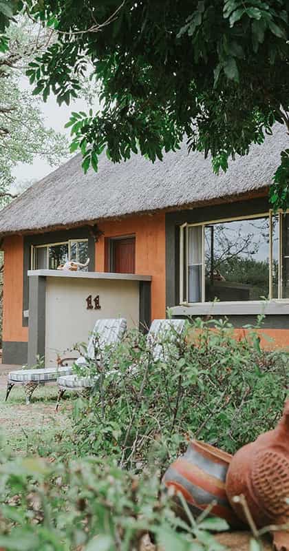 Mohlabetsi Safari Lodge, Balule | Timbuktu Travel