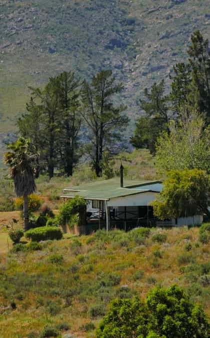 Foxburg Estate, Western Cape | Timbuktu Travel
