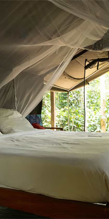 Camp Imbalanga, Odzala | Timbuktu Travel