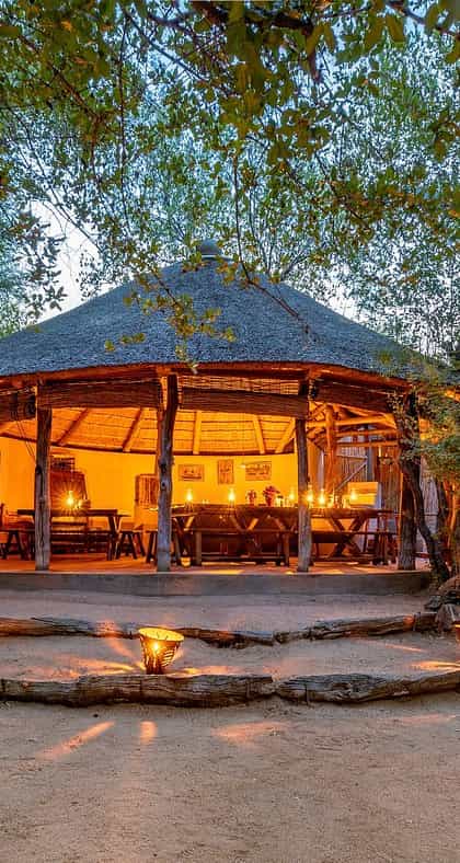 Umlani Bushcamp, Timbavati | Timbuktu Travel