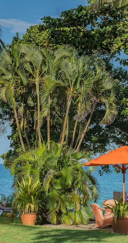 Baobab Beach Resort & Spa, Diani | Timbuktu Travel