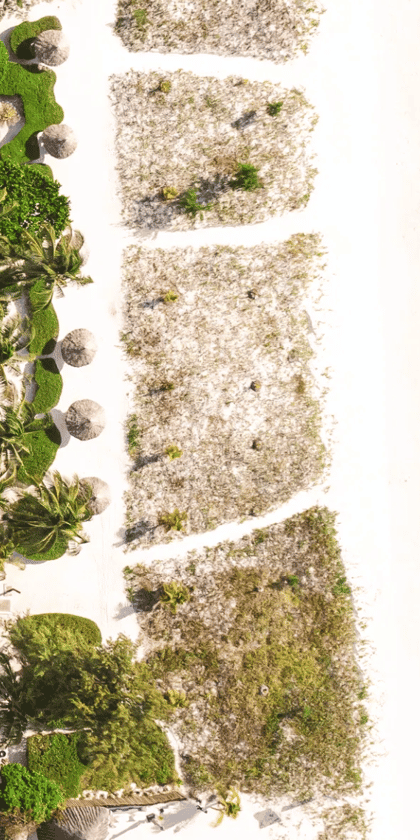 Kisiwa on the Beach, Zanzibar | Timbuktu Travel