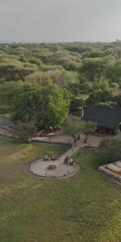 Forest Chem Chem, Tarangire | Timbuktu Travel