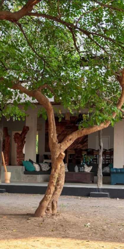 Msandile River Lodge, South Luangwa | Timbuktu Travel