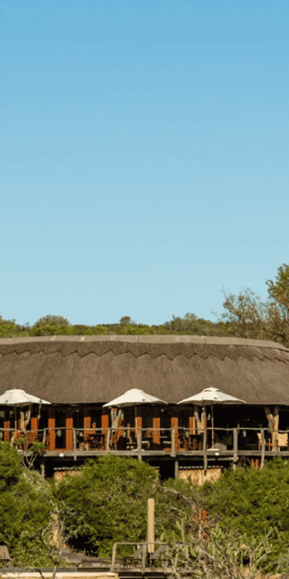 Bush Lodge - Pumba Private Game Reserve, Eastern Cape | Timbuktu Travel