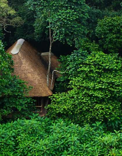 Koroi Forest Camp, Arusha | Timbuktu Travel
