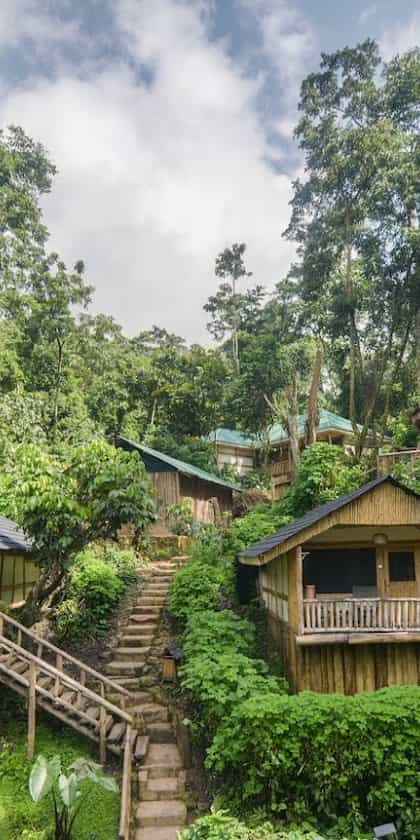Buhoma Lodge, Bwindi | Timbuktu Travel