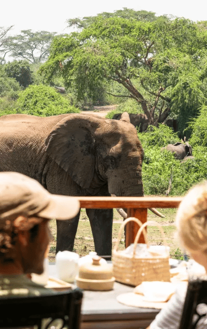 The River Station, Queen Elizabeth | Timbuktu Travel