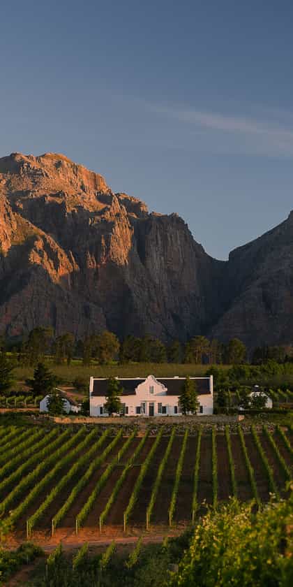 Brookdale Estate Manor House, Paarl | Timbuktu Travel