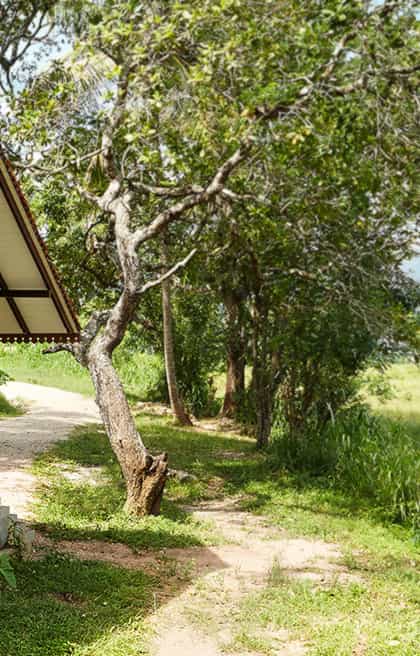 Jetwing Kaduruketha, Ella | Timbuktu Travel