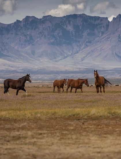 Estancia San Luis, Torres Del Paine | Timbuktu Travel