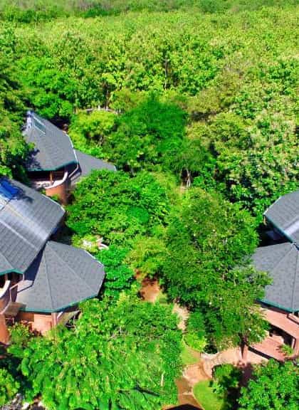 Grand Udawalawe Safari Resort, Udawalawe National Park | Timbuktu Travel