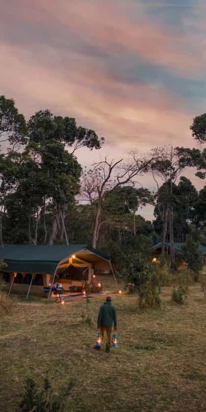 Roca River Camp, Masai Mara | Timbuktu Travel