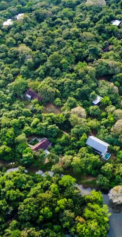 Wild Grass Nature Resort, Sigiriya | Timbuktu Travel