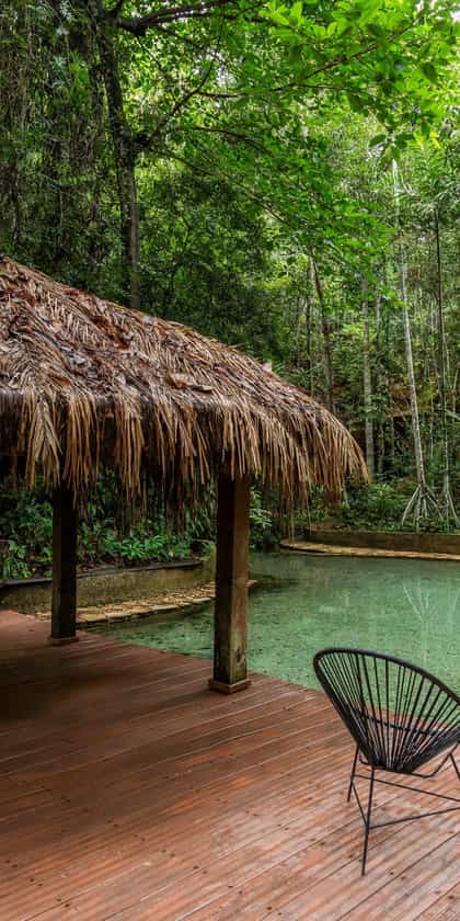 Jardim da Amazônia, Mato Grosso | Timbuktu Travel