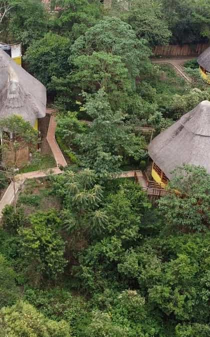 Kibale Tourist Safari Lodge, Kibale | Timbuktu Travel