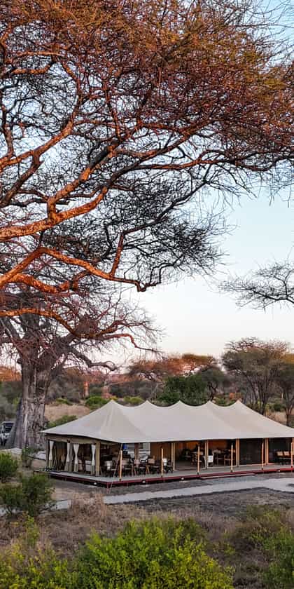 Tarangire Greenland Retreat, Tarangire | Timbuktu Travel