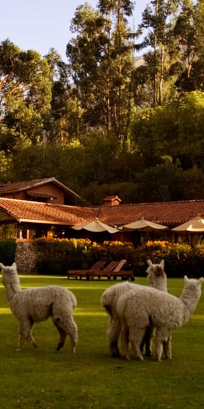Rio Sagrado, A Belmond Hotel, The Sacred Valley | Timbuktu Travel