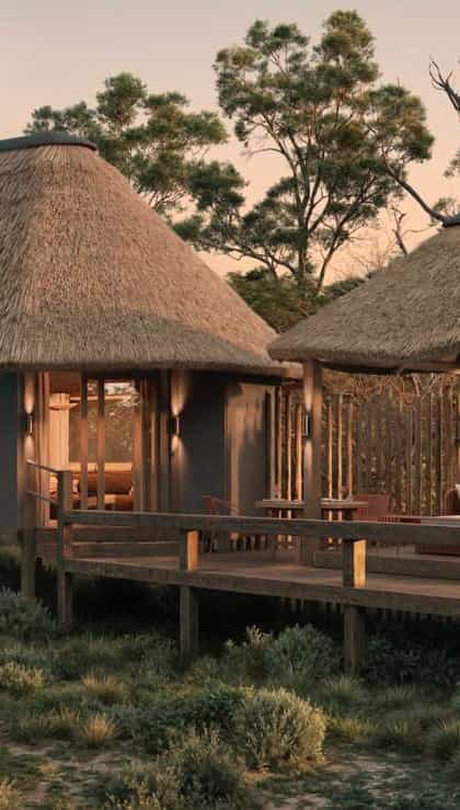 Kanana Nyana, Moremi | Timbuktu Travel