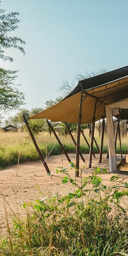 Nyasi Migrational Camp - North, Serengeti | Timbuktu Travel