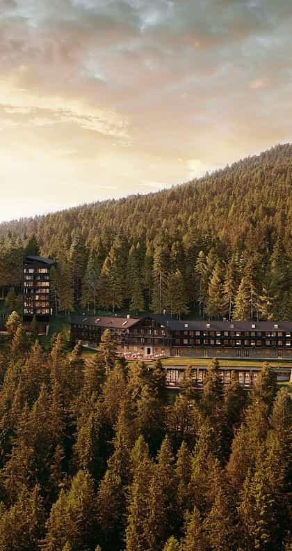 Forestis, The Dolomites | Timbuktu Travel