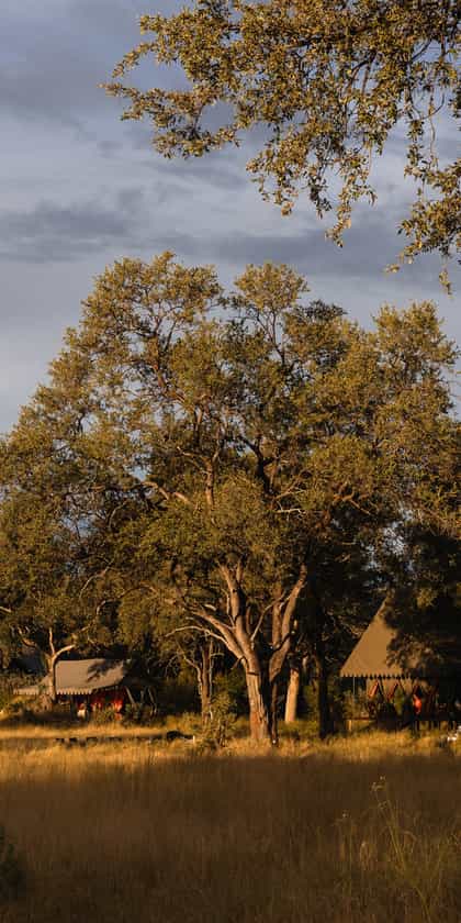 Mbamba, Central Okavango | Timbuktu Travel