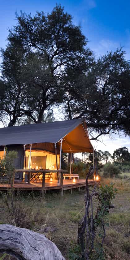 Gomoti Plains Camp, Central Okavango | Timbuktu Travel