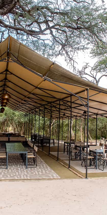 Mababe Tented Camp, Mababe | Timbuktu Travel