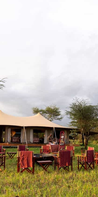 Serengeti Acacia Bliss, Serengeti | Timbuktu Travel