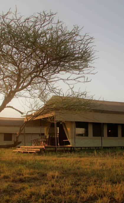 Hippo Trails Camp, Serengeti | Timbuktu Travel