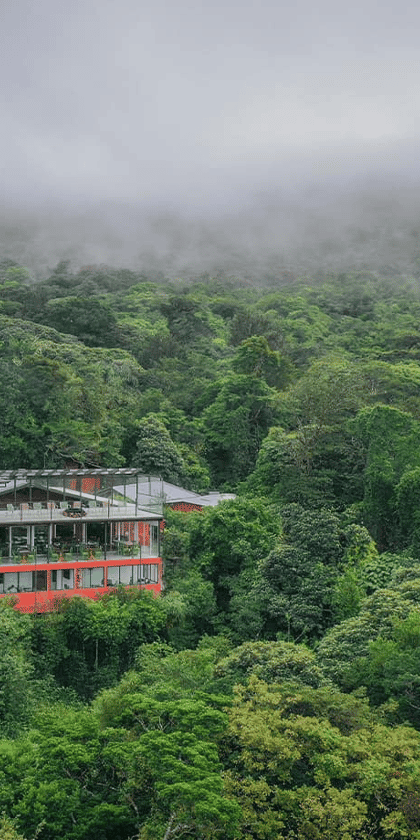Cloud Forest Lodge, Monteverde Cloud Forest | Timbuktu Travel