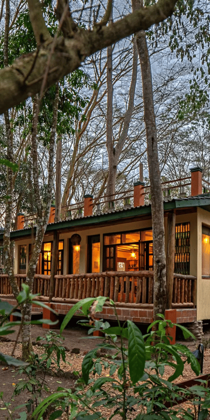 Ishasha Jungle Lodge, Queen Elizabeth | Timbuktu Travel