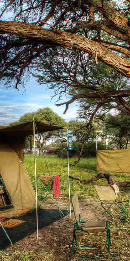 Safari Life Africa: Mobile Safari Khwai, Khwai | Timbuktu Travel