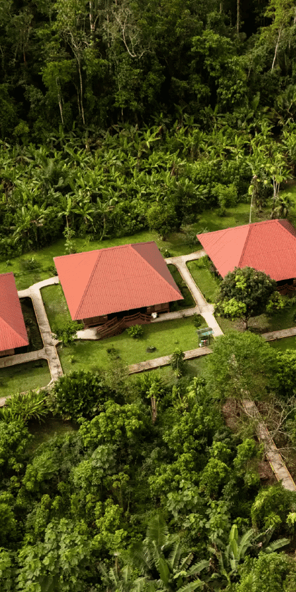 Yasuní Ecolodge , The Ecuadorian Amazon | Timbuktu Travel