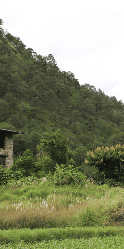 Happiness Fields Homestay, Punakha | Timbuktu Travel