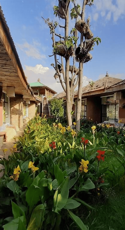 Lodge Du Chateau, Gondar | Timbuktu Travel