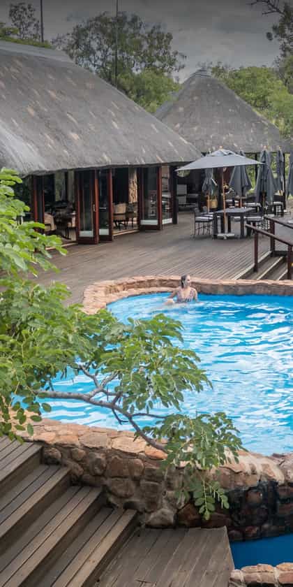 Ndlovu Safari Lodge, Welgevonden Game Reserve | Timbuktu Travel