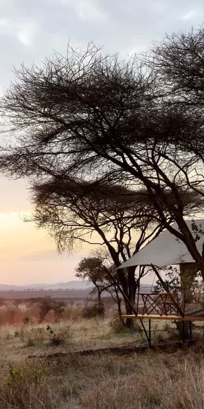 Out Of Africa by Laba Explorer, Serengeti | Timbuktu Travel