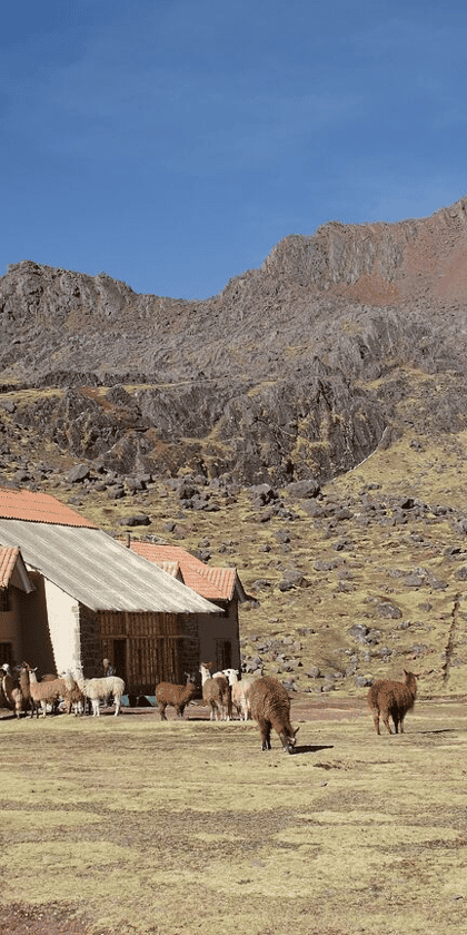 Huampococha Lodge, Cusco | Timbuktu Travel