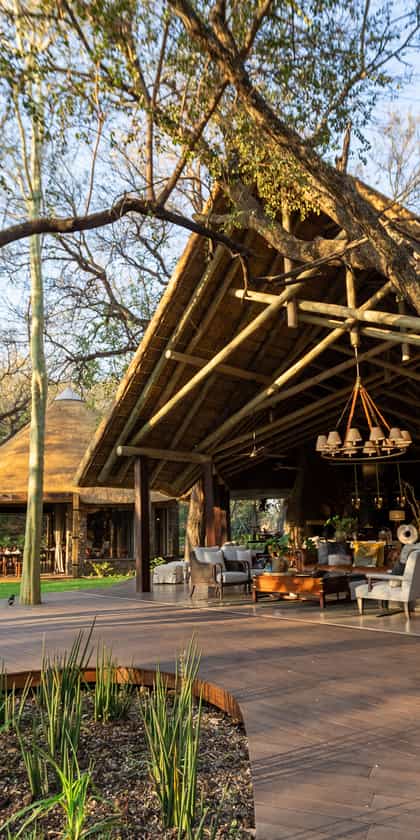 Dulini Moya, South & West Sabi Sands | Timbuktu Travel
