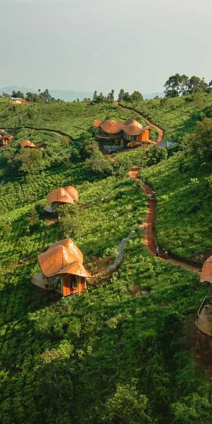 Erebero Hills, Bwindi | Timbuktu Travel