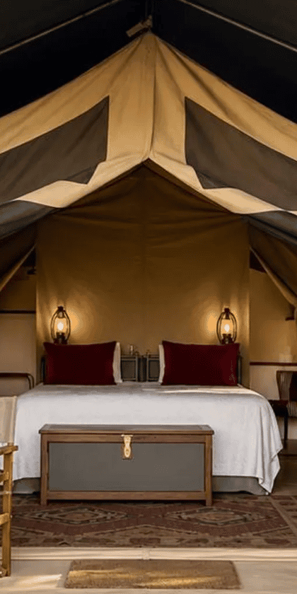 Wild Forest Camp , Masai Mara | Timbuktu Travel