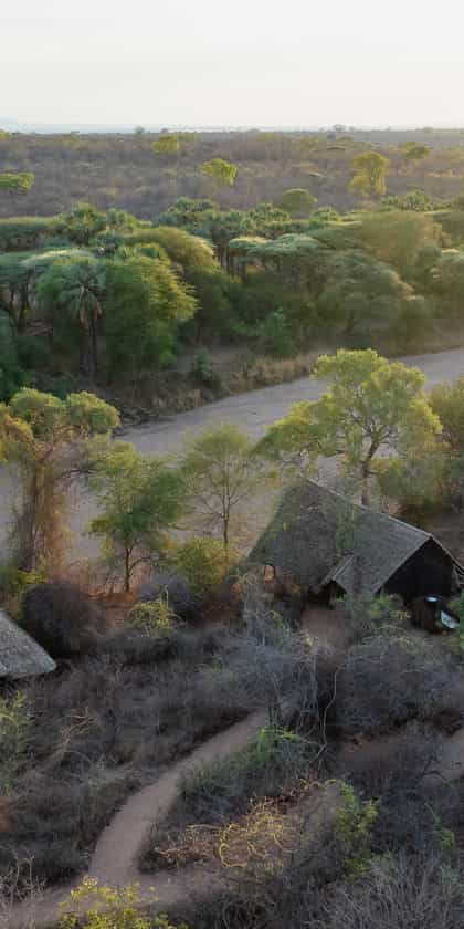 Laba Jongomero Camp, Ruaha | Timbuktu Travel