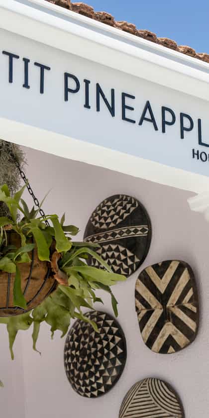 Petit Pineapple House Villa, Cape Town | Timbuktu Travel