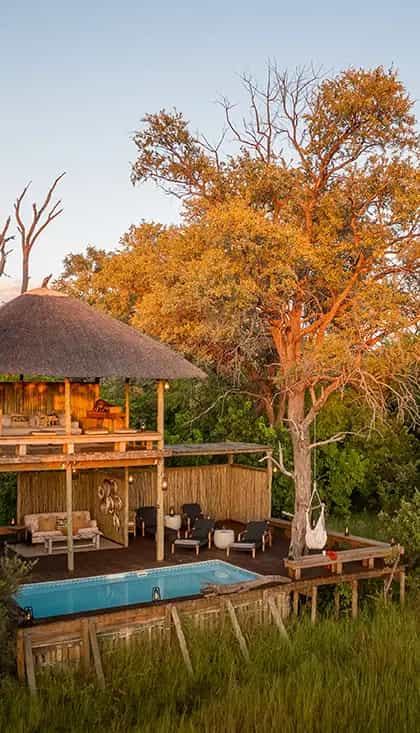 Little Sable, Khwai | Timbuktu Travel
