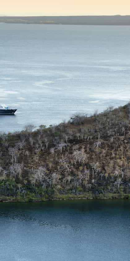 &Beyond Galapagos Explorer, Isla Santa Cruz | Timbuktu Travel