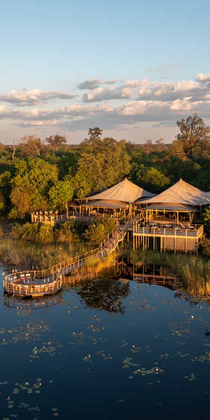 Duma Tau Camp, Linyanti | Timbuktu Travel