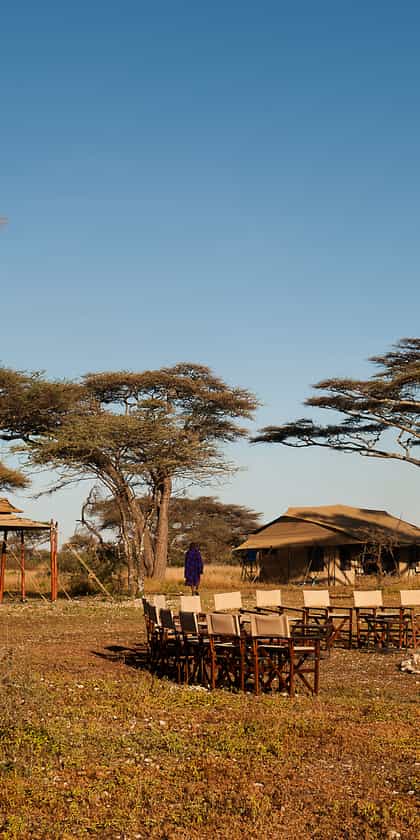 Masek Under Canvas Tented Camp, Serengeti | Timbuktu Travel