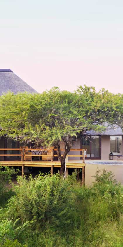 Londolozi Pioneer Camp, South & West Sabi Sands | Timbuktu Travel