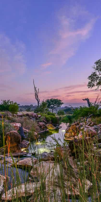 Sabi Sabi Earth Lodge, South & West Sabi Sands | Timbuktu Travel